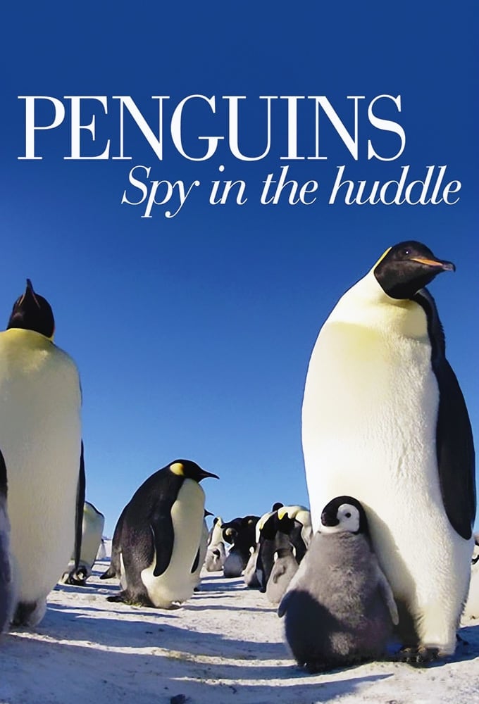 Penguins: Spy in the Huddle | Penguins: Spy in the Huddle