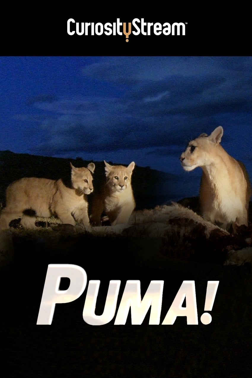 Puma! | Puma!