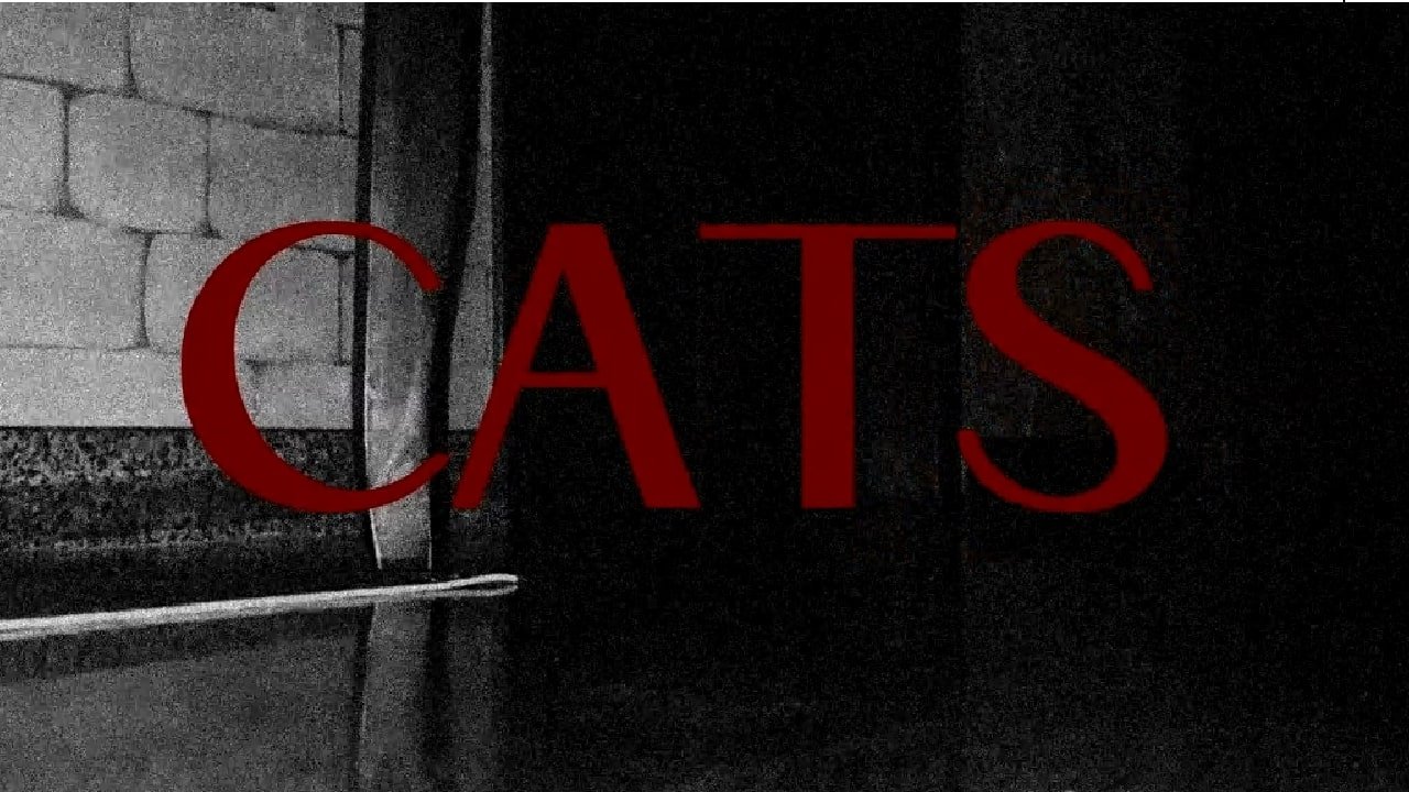 CATS|CATS
