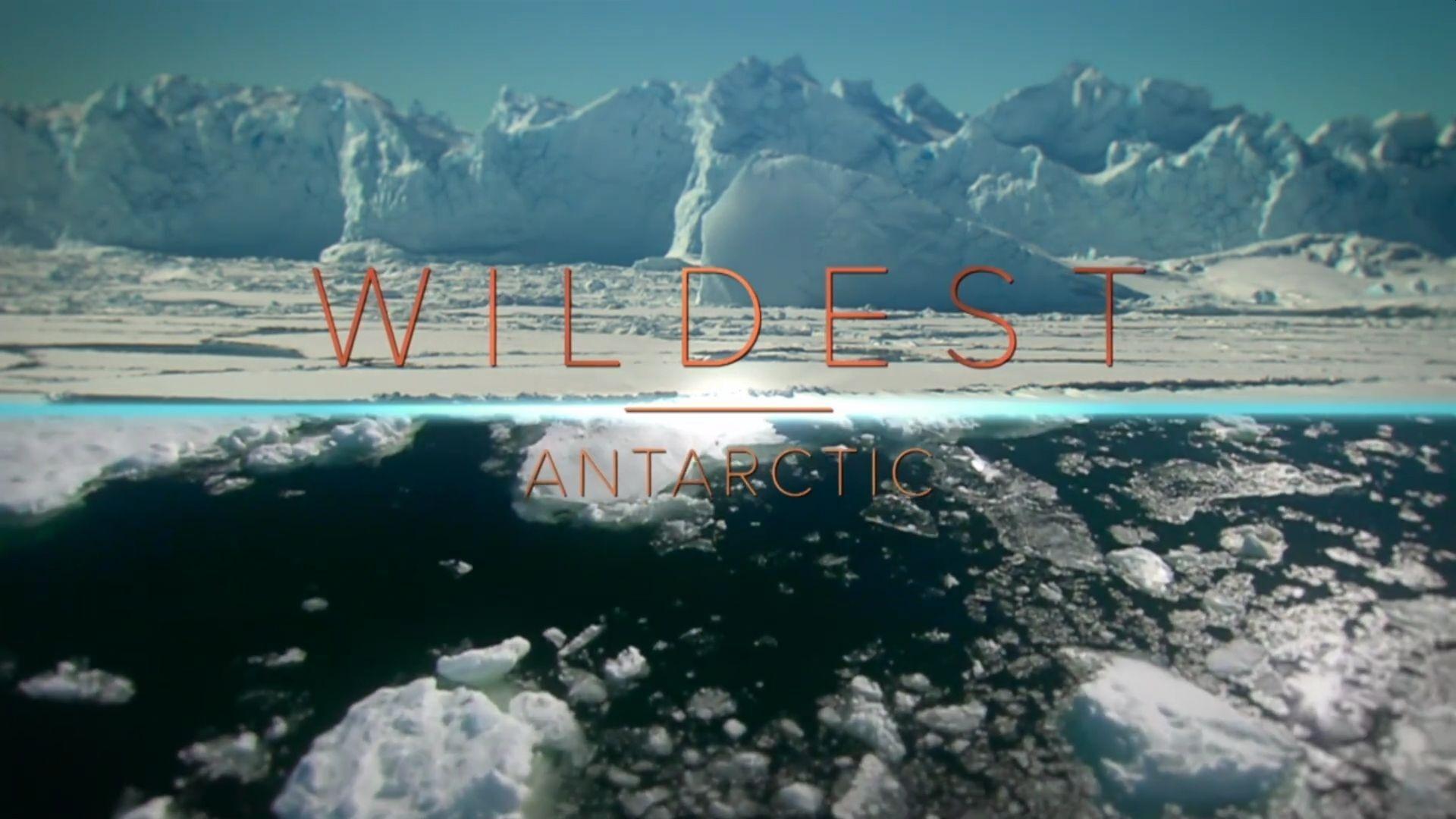 Wildest Places|Wildest Places