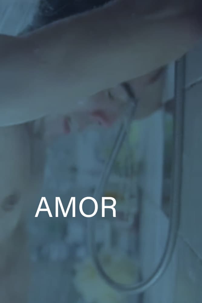 Amor | Amor