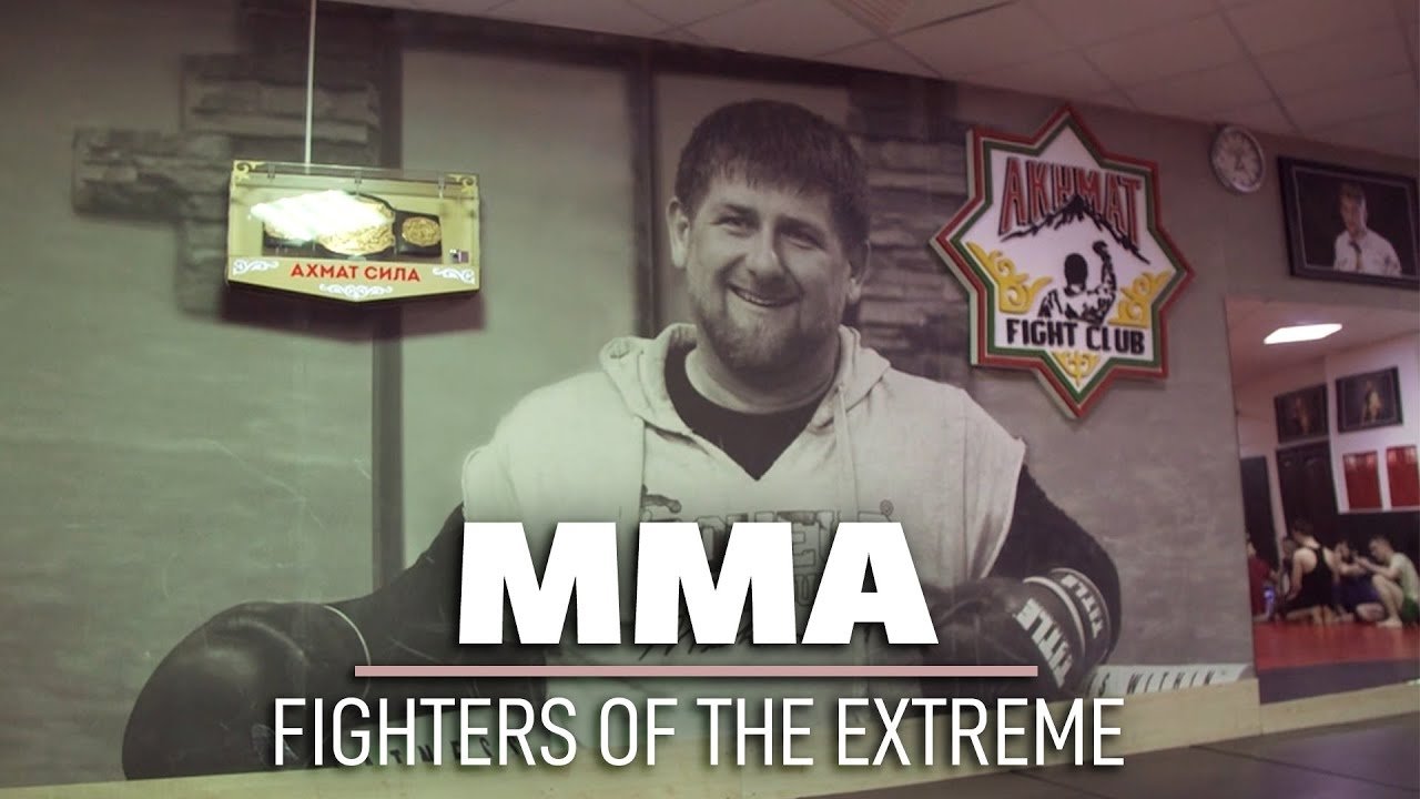 MMA: Fighters of the Extreme|MMA: Fighters of the Extreme