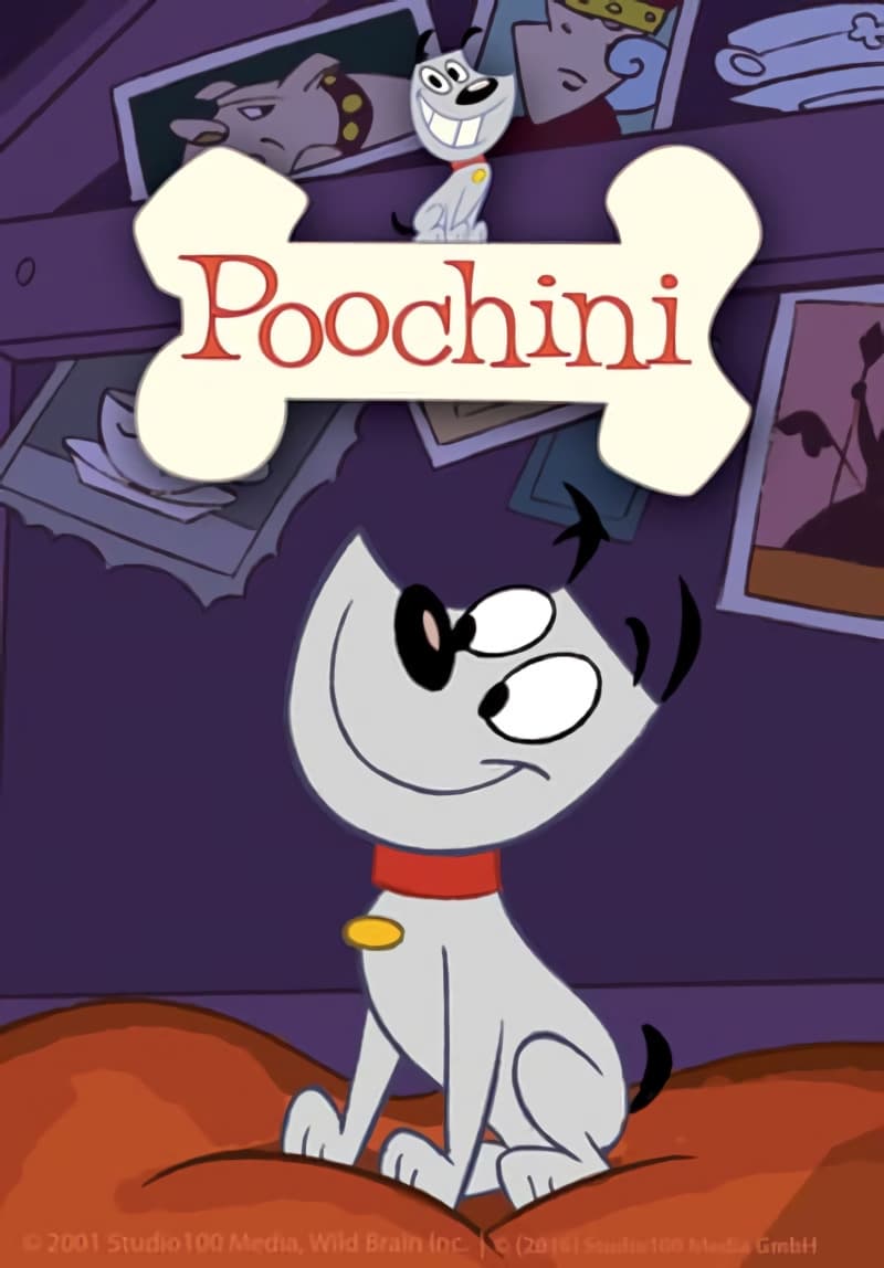 Poochini | Poochini