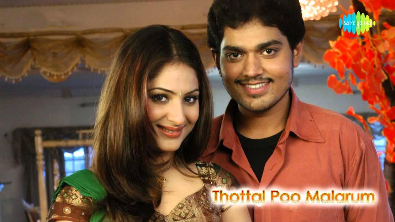 தொட்டால் பூ மலரும்|தொட்டால் பூ மலரும்