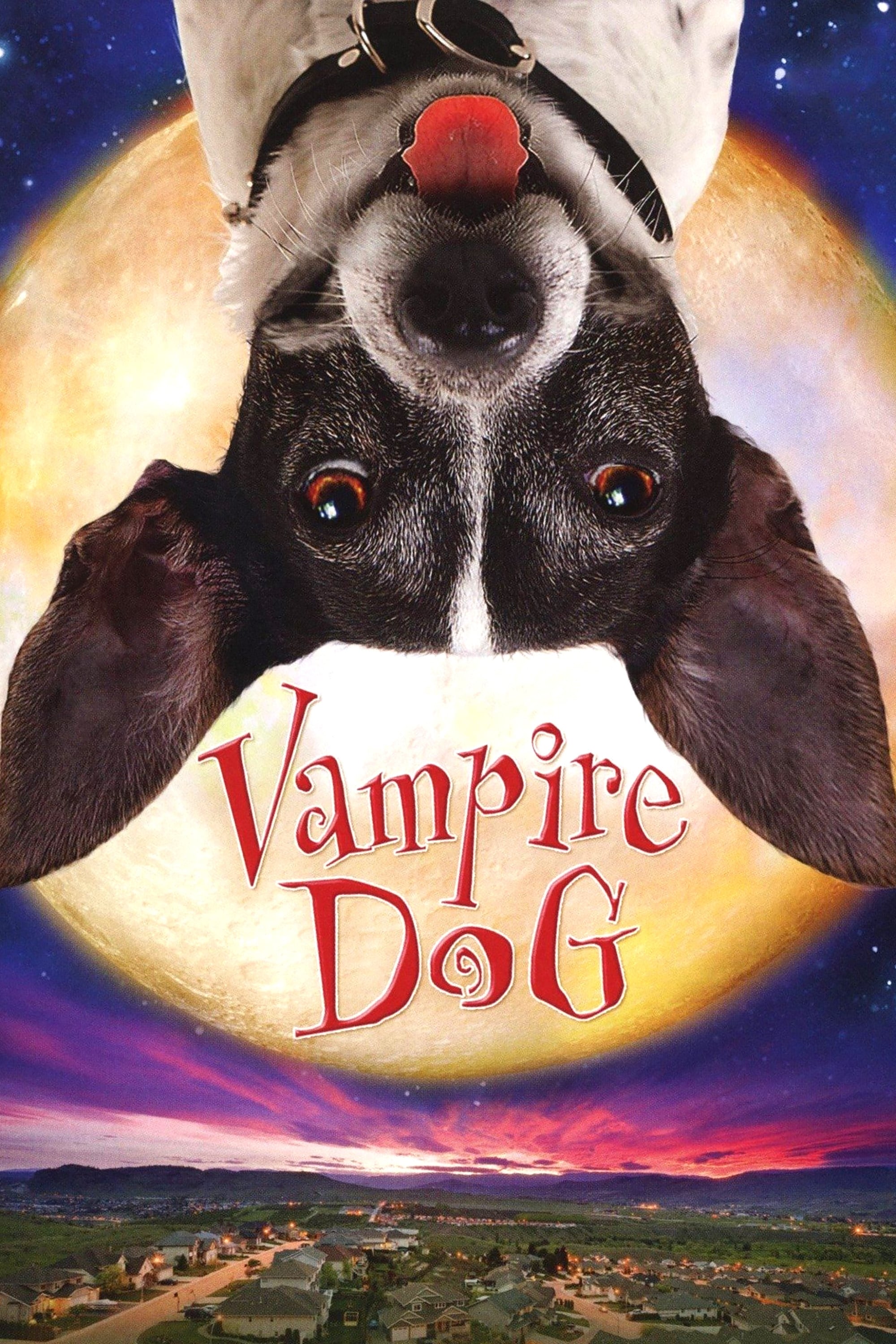 Vampire Dog | Vampire Dog