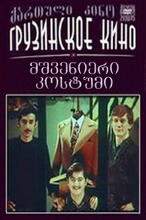 მშვენიერი კოსტუმი