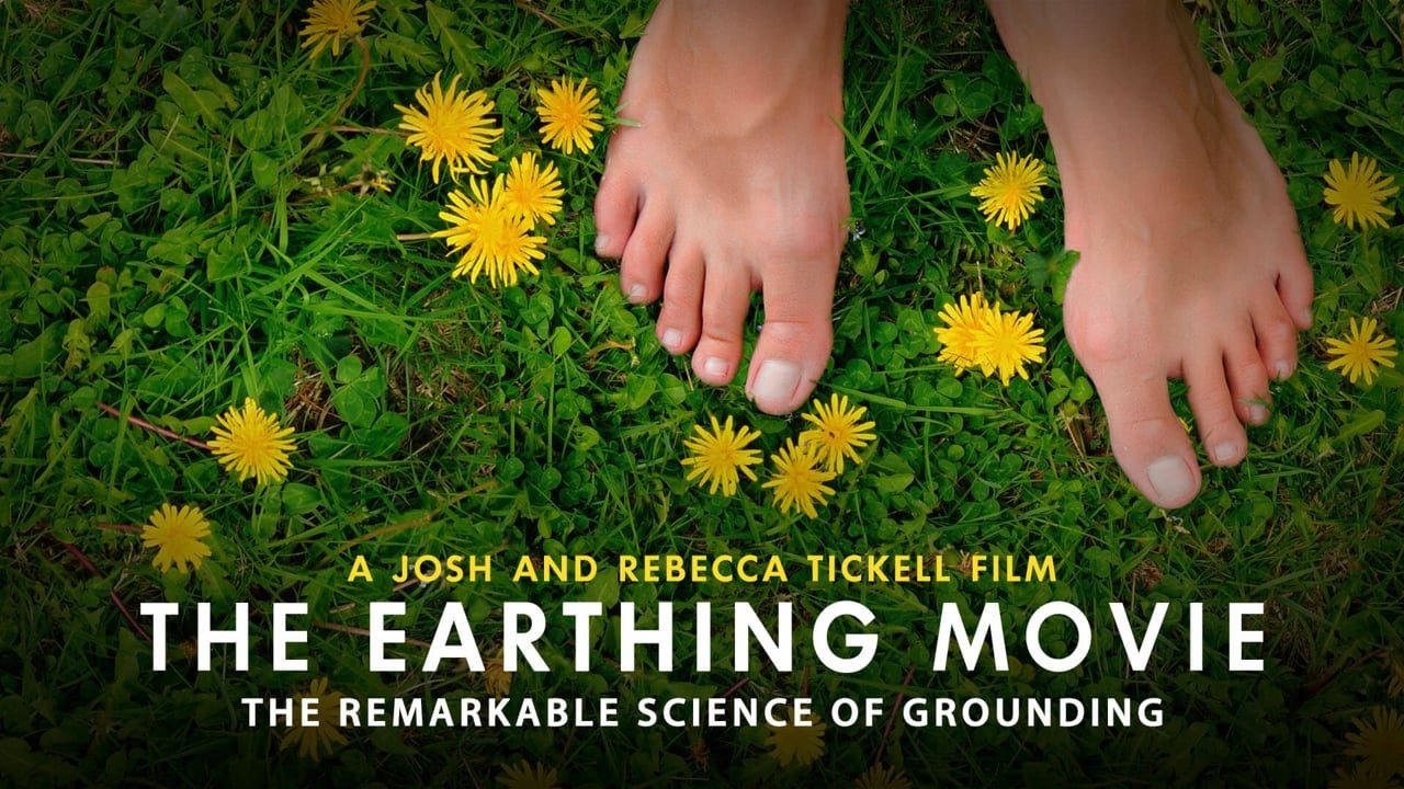 The Earthing Movie|The Earthing Movie