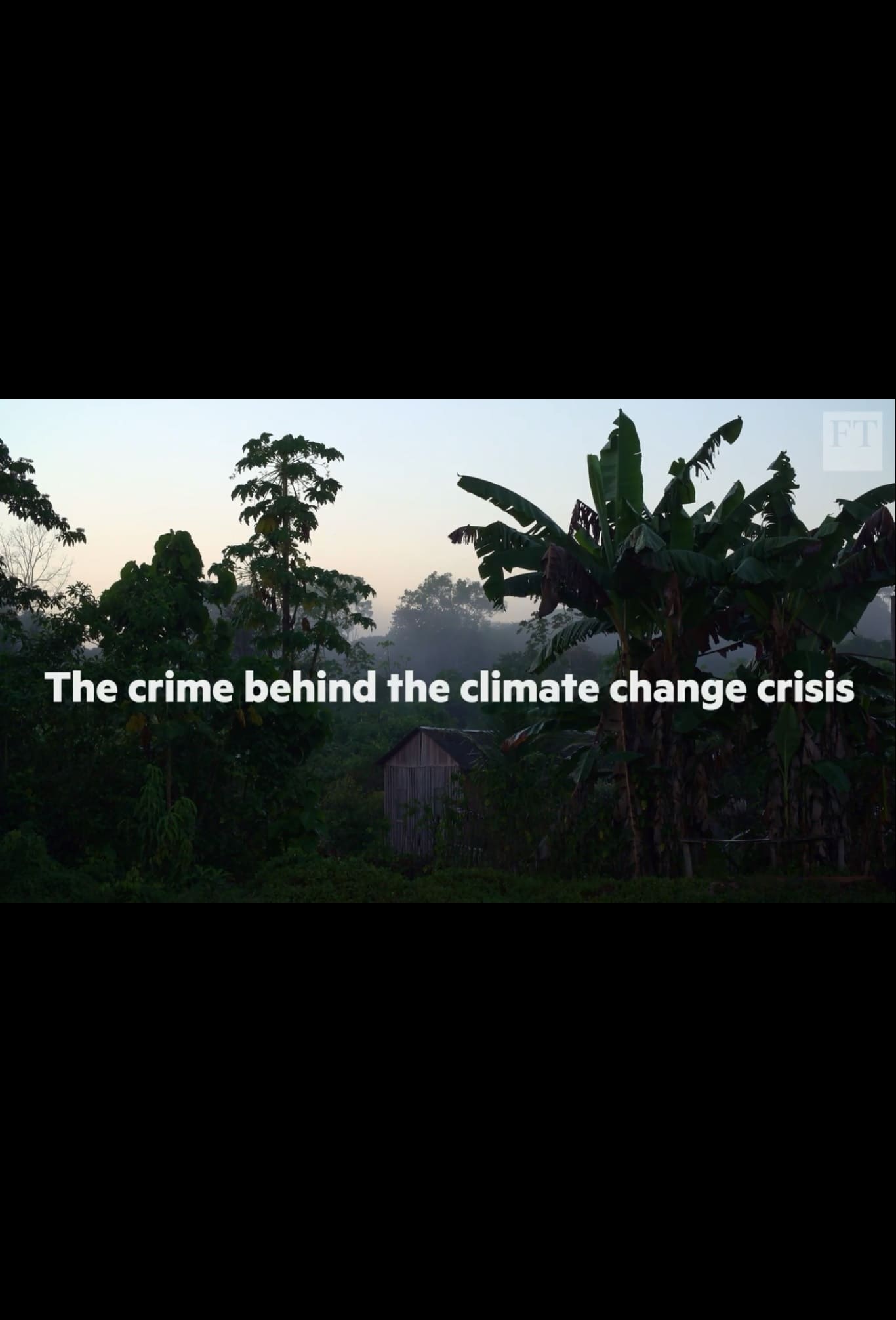 The crime behind the Amazon climate change crisis | The crime behind the Amazon climate change crisis