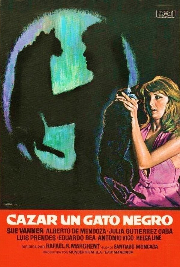 Cazar un gato negro | Cazar un gato negro