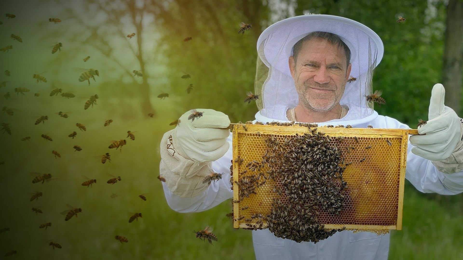 The Secret Life of Bees|The Secret Life of Bees
