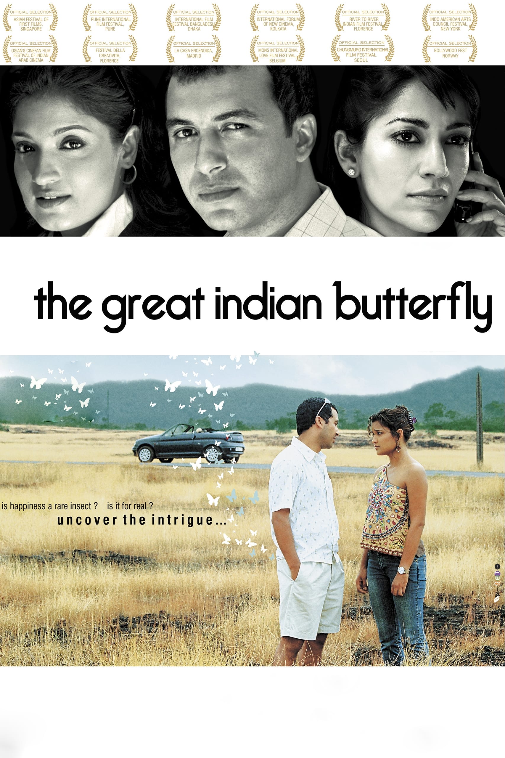 The Great Indian Butterfly | The Great Indian Butterfly