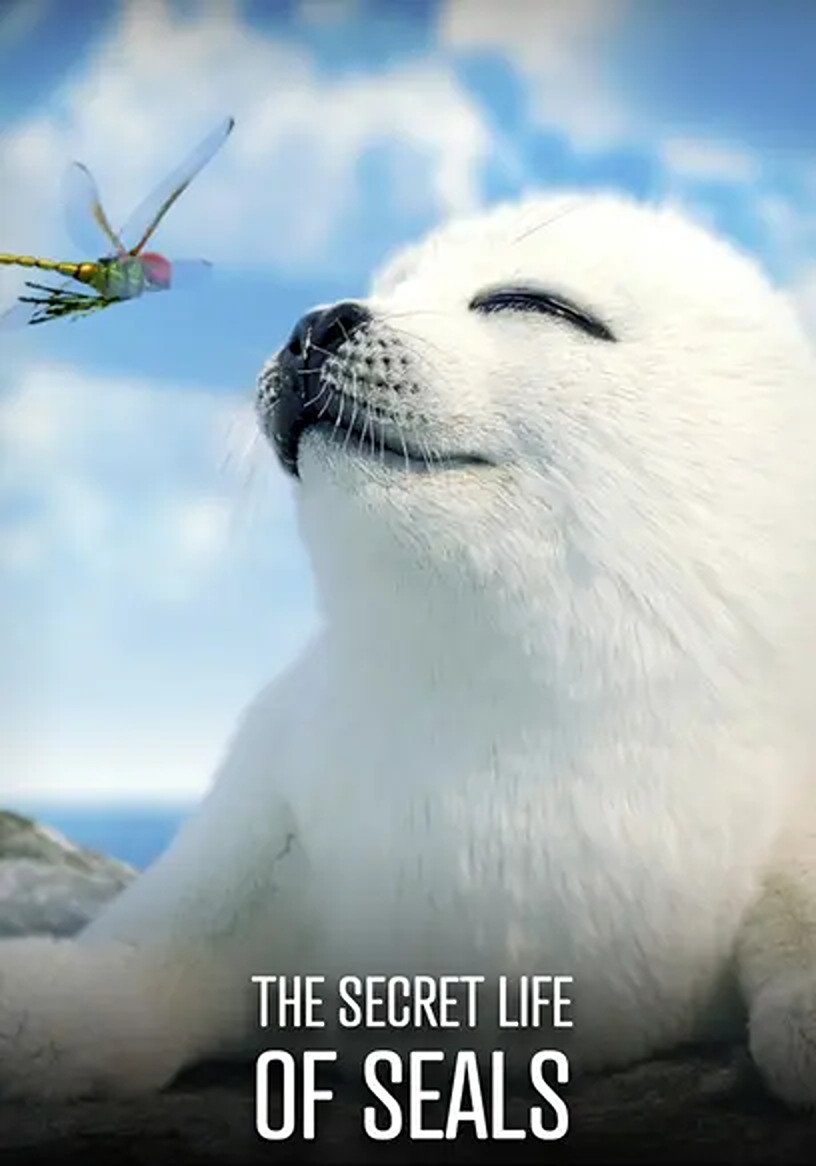 Sälens Hemliga Liv