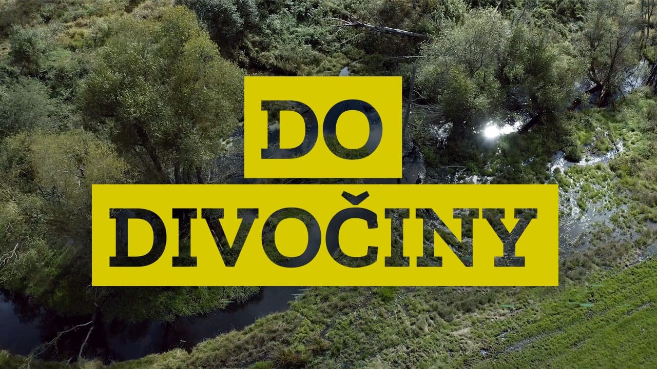 Do divočiny!|Do divočiny!