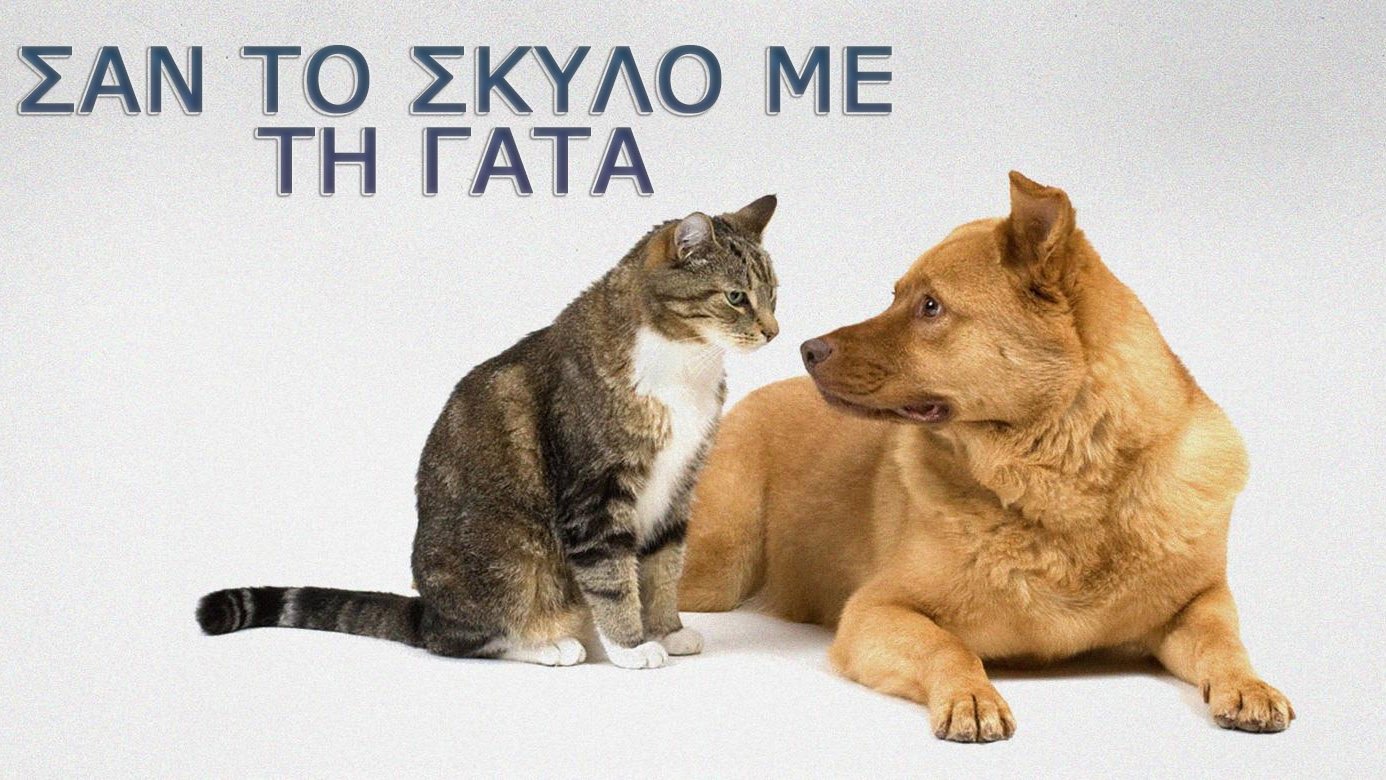 Σαν τον σκύλο με τη γάτα|Σαν τον σκύλο με τη γάτα