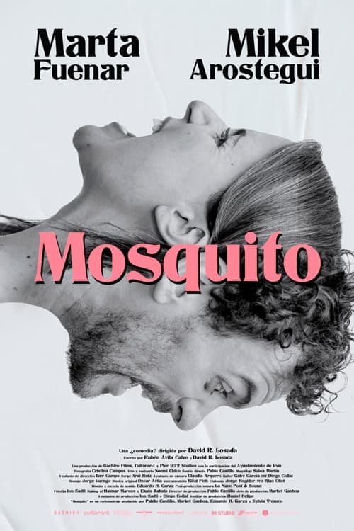 Mosquito | Mosquito