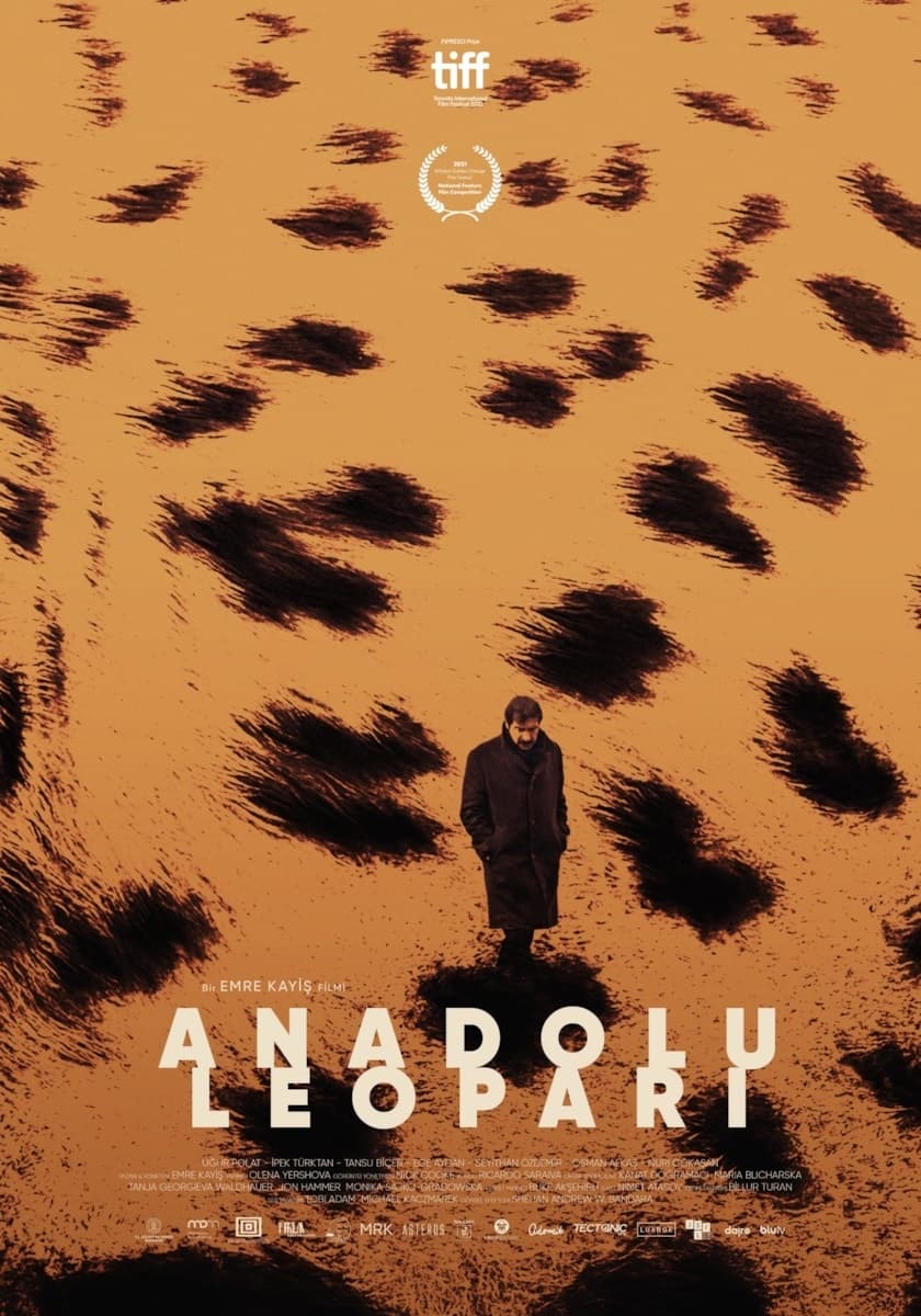 Anadolu Leoparı | Anadolu Leoparı