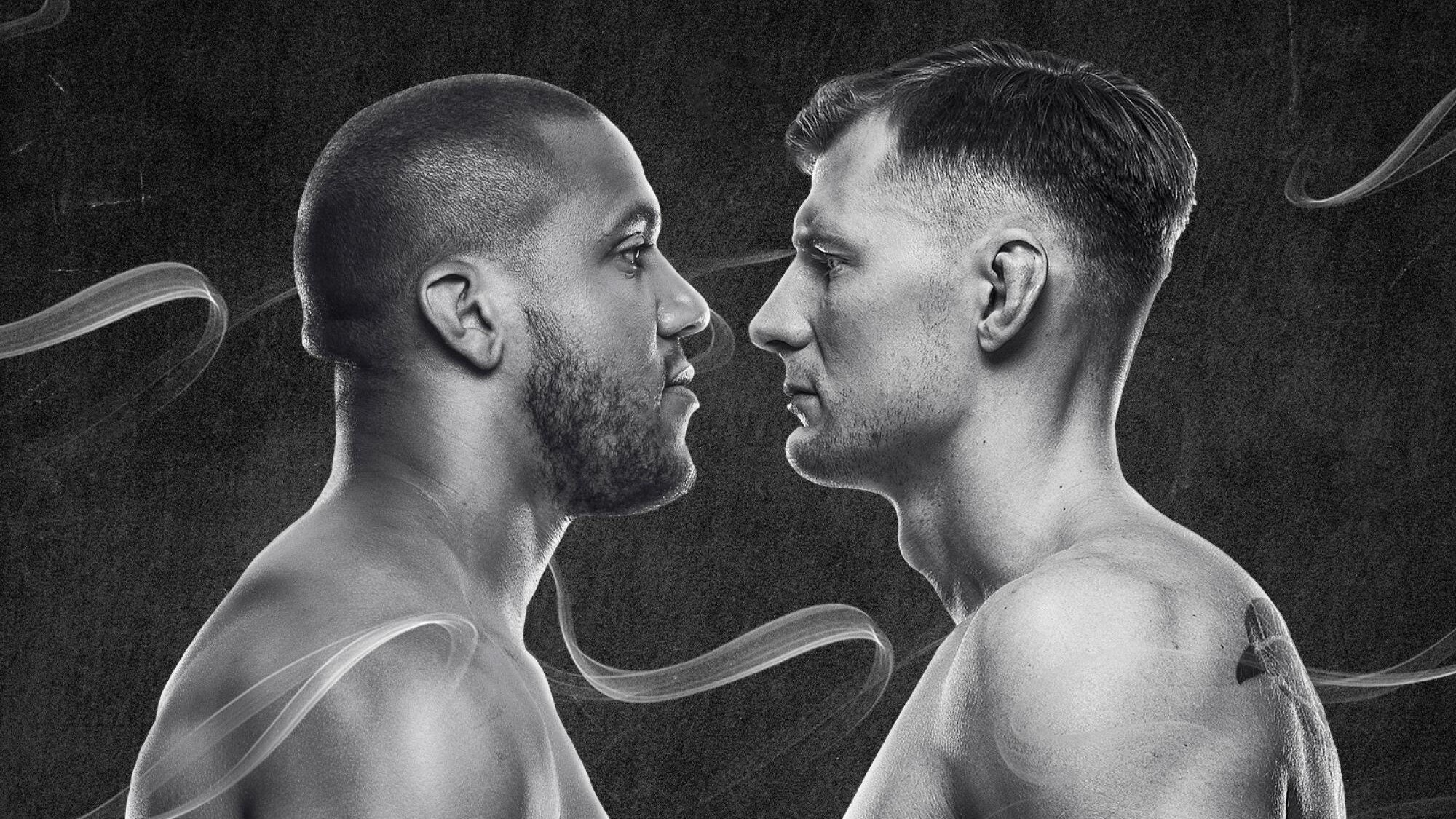 UFC Fight Night 190: Gane vs. Volkov|UFC Fight Night 190: Gane vs. Volkov