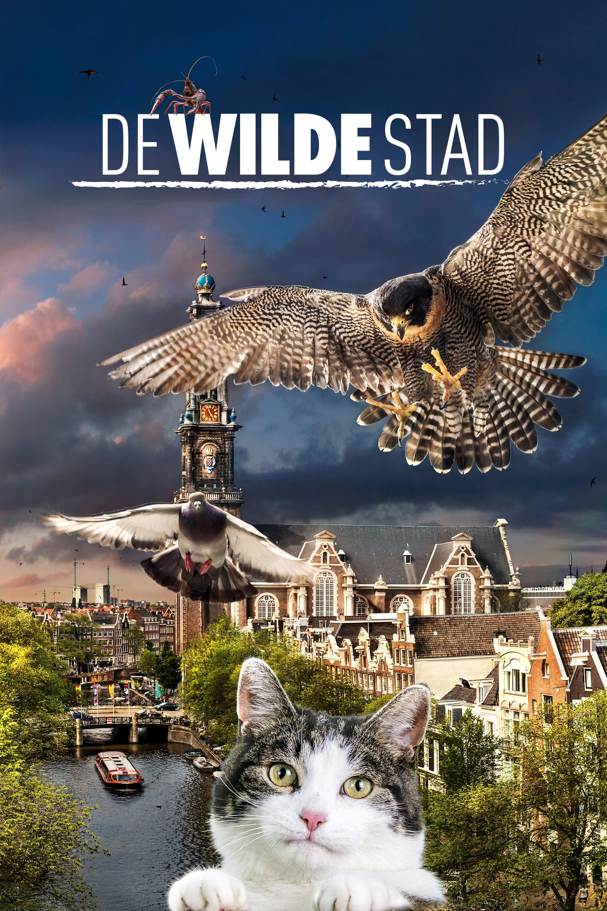 De wilde stad | De wilde stad