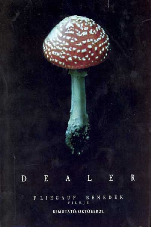 Dealer | Dealer