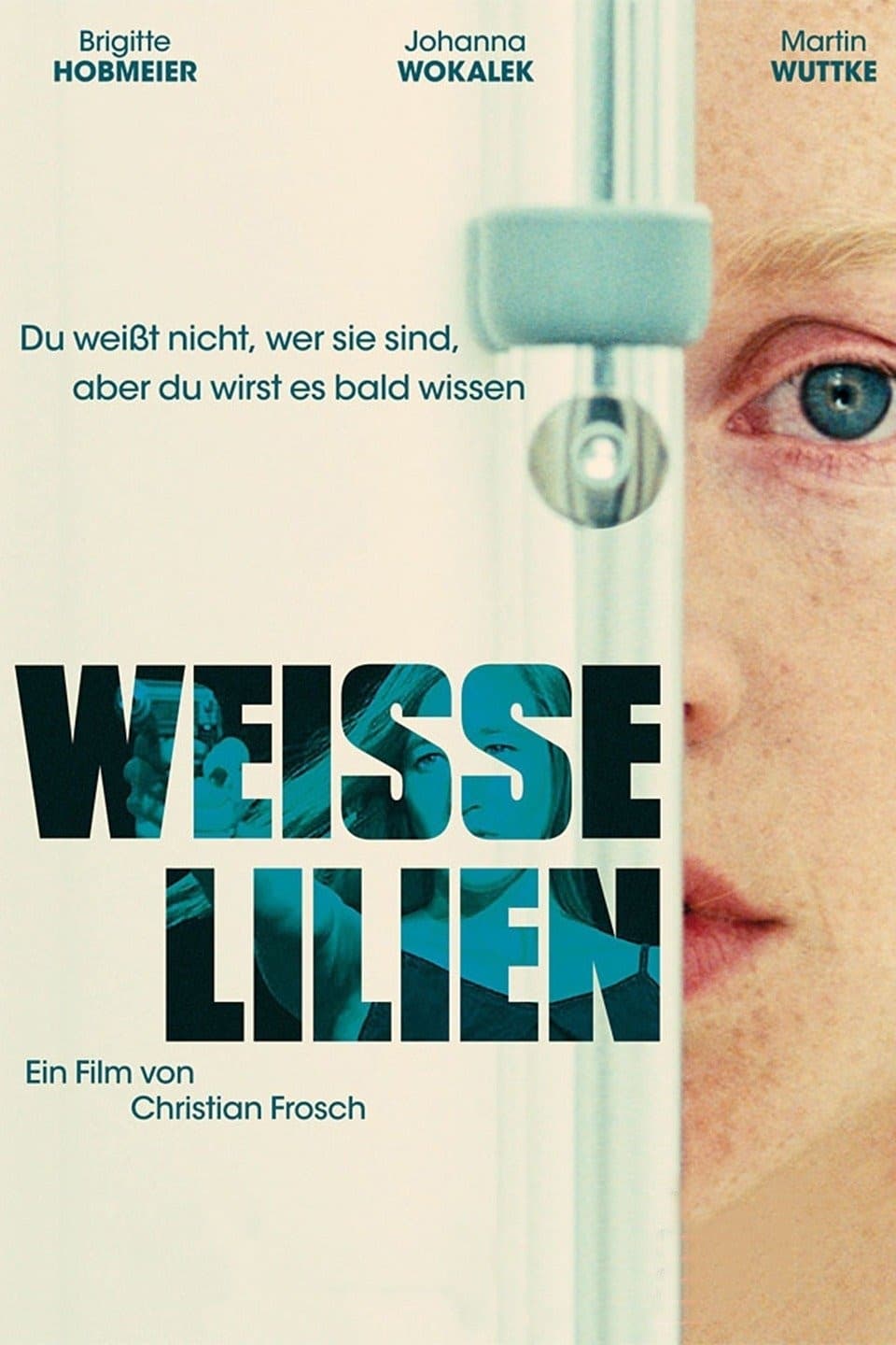 Weisse Lilien | Weisse Lilien