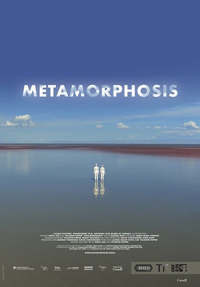 Metamorphosis | Metamorphosis