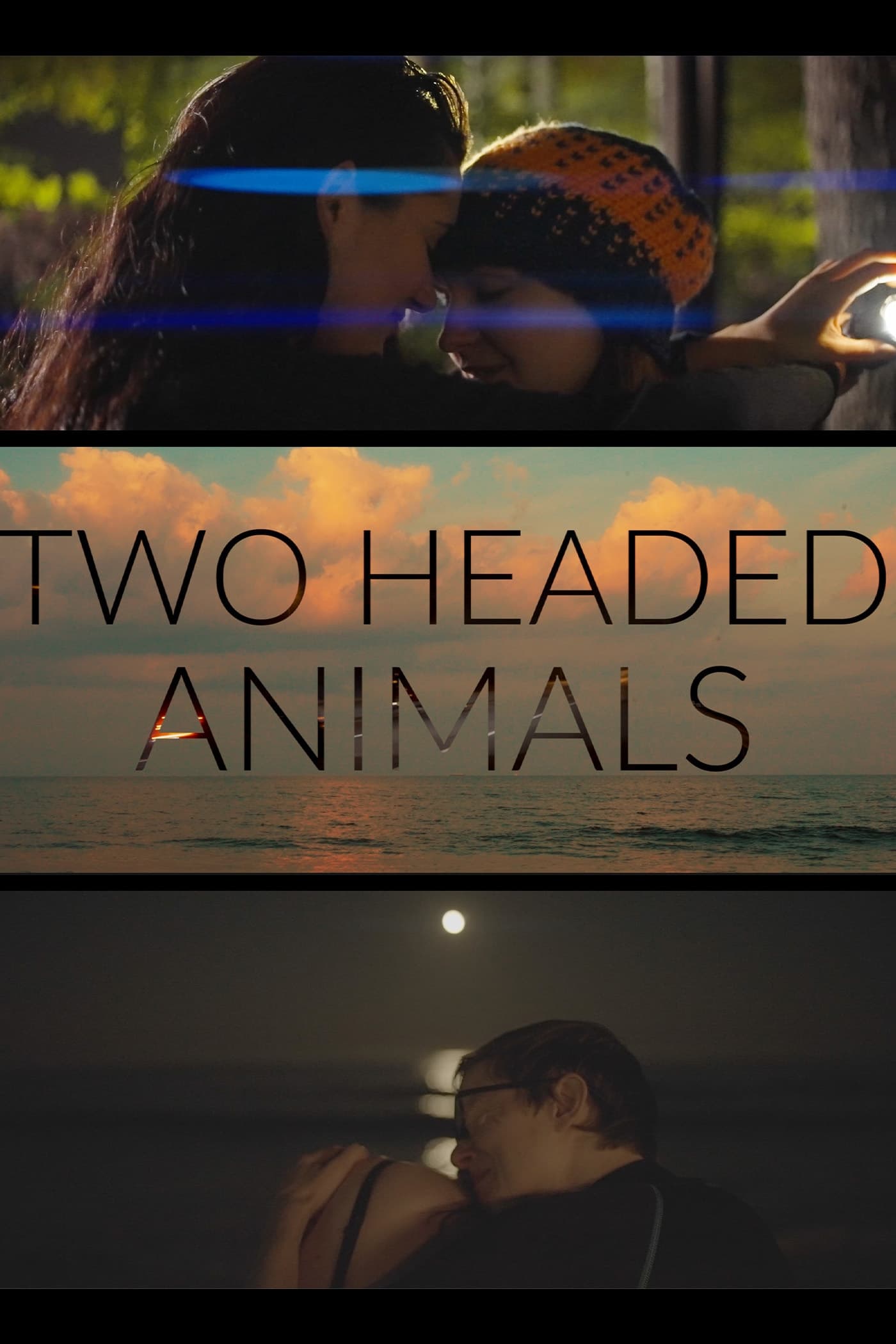 Two Headed Animals | Two Headed Animals