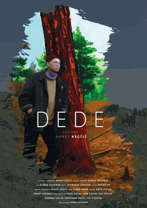 DEDE | DEDE