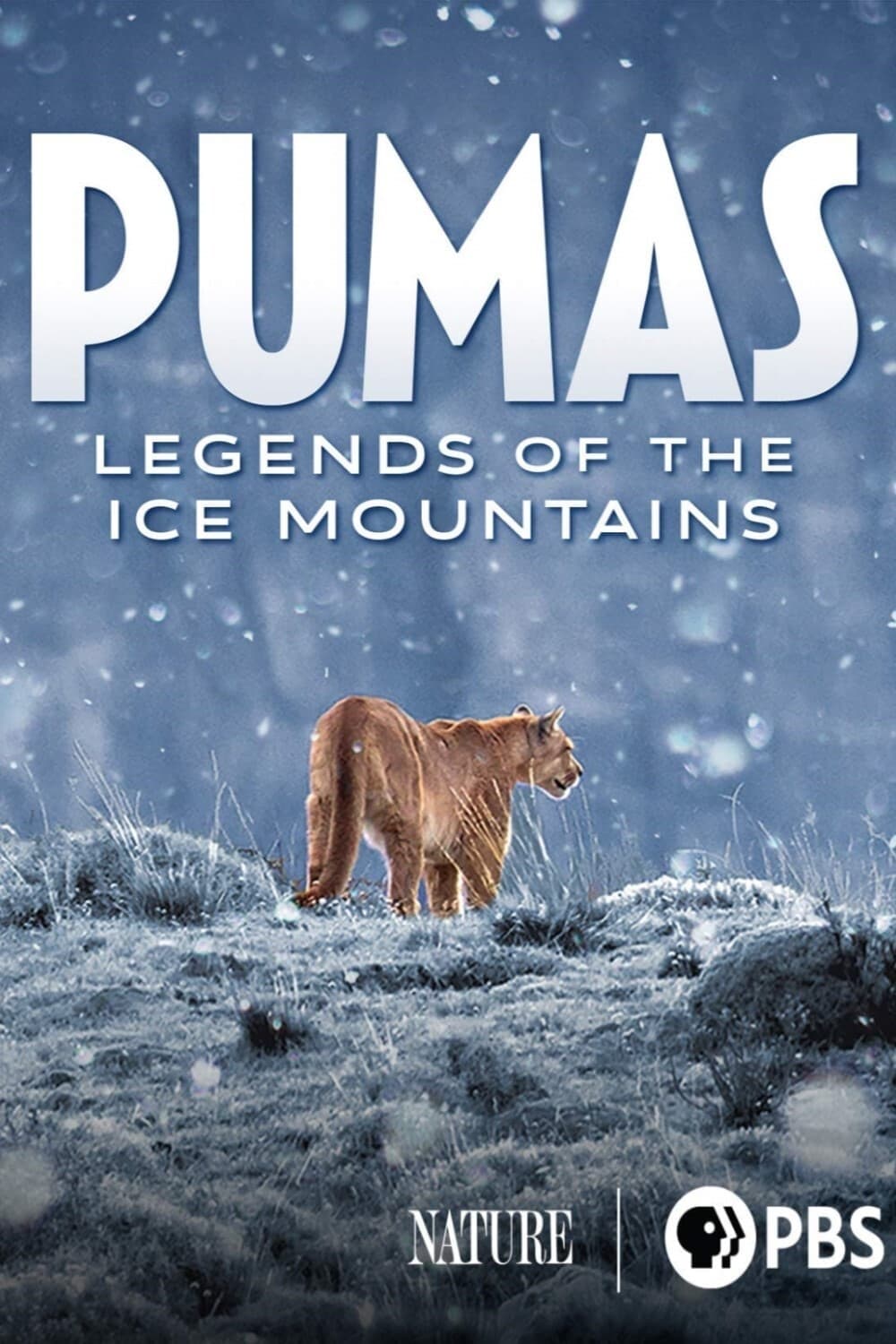 Pumas: Legends of the Ice Mountains | Pumas: Legends of the Ice Mountains