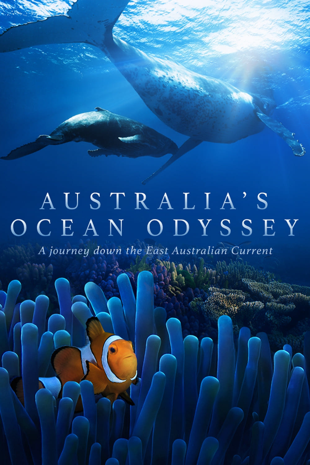 Australia's Ocean Odyssey: A journey down the East Australian Current | Australia's Ocean Odyssey: A journey down the East Australian Current