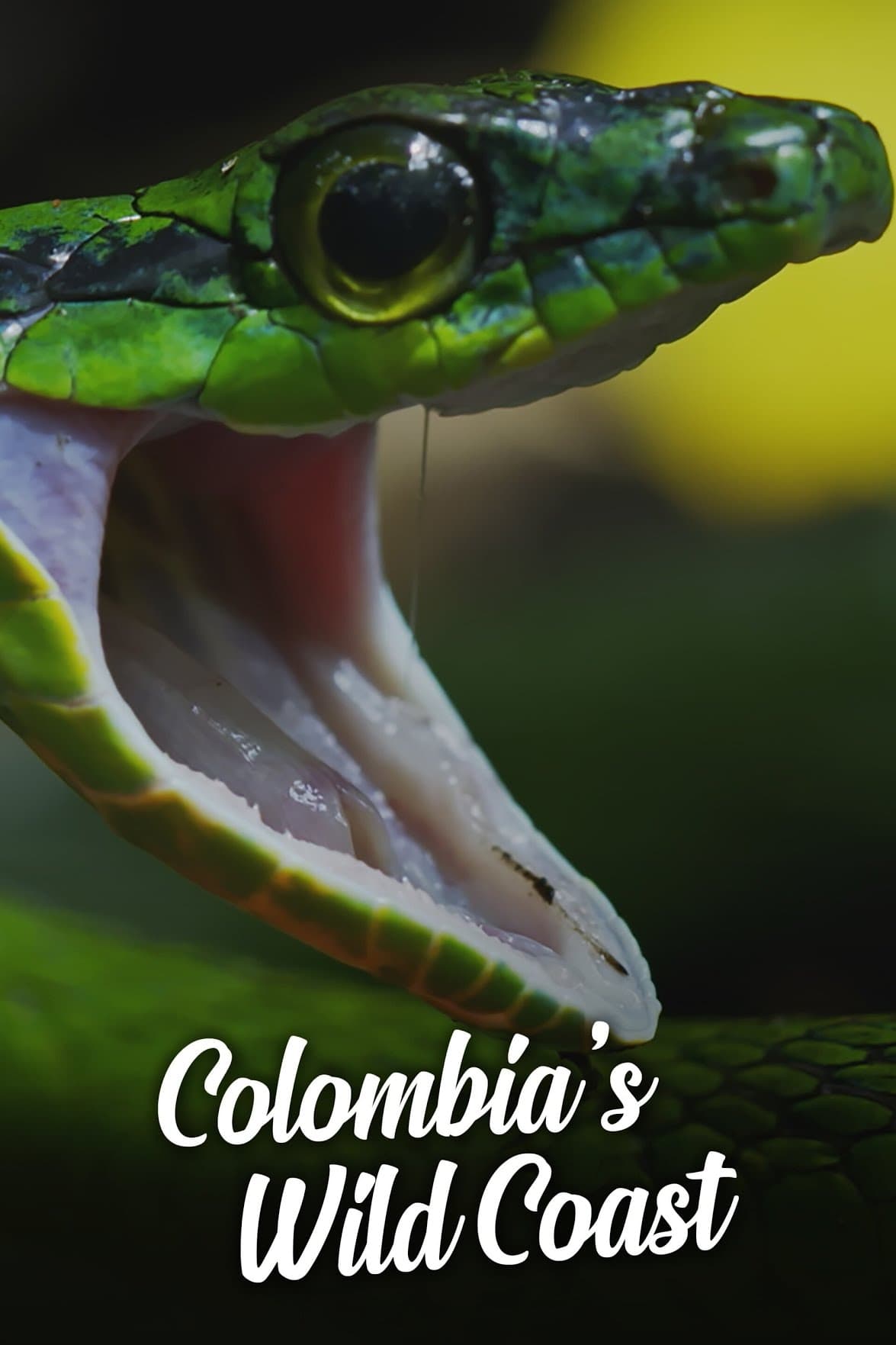 Colombia's Wild Coast | Colombia's Wild Coast