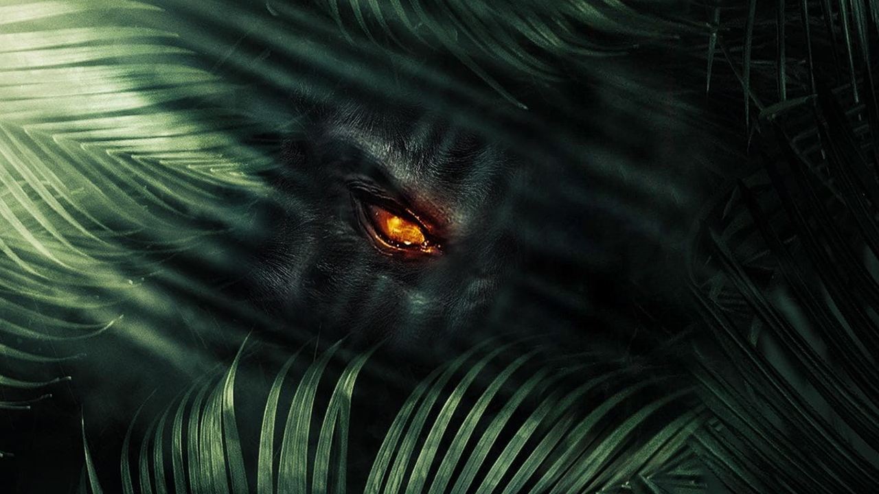The Jungle|The Jungle