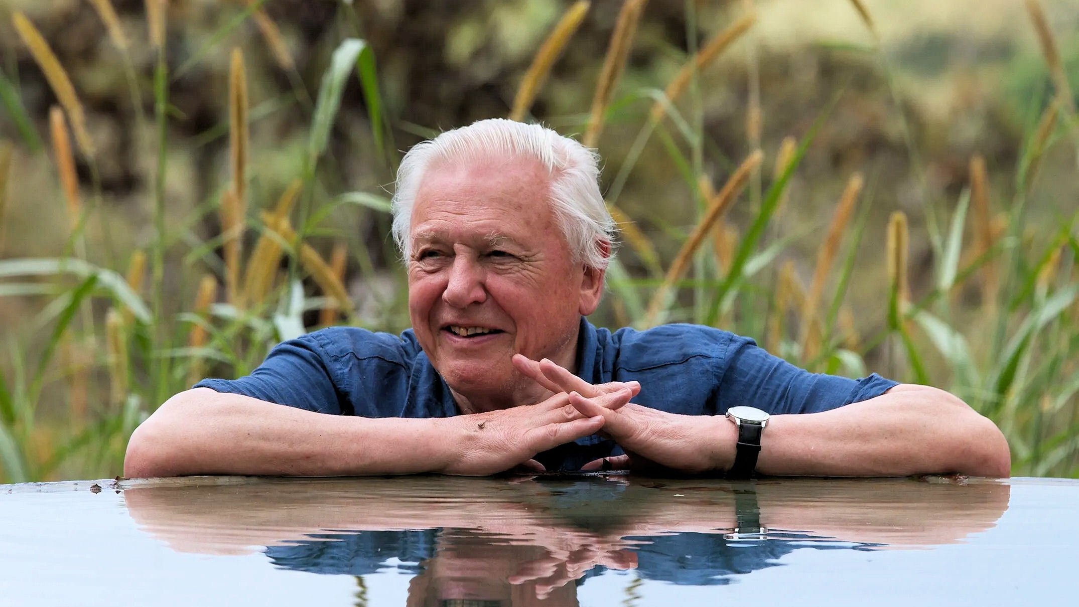 David Attenborough's Global Adventure|David Attenborough's Global Adventure