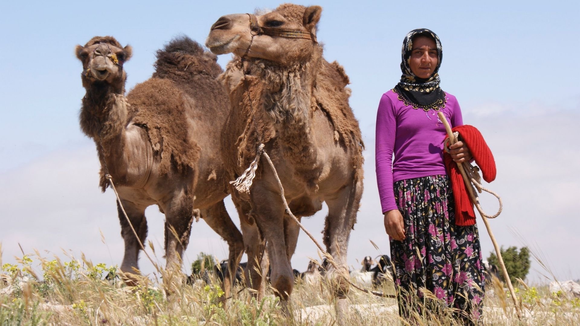 Tribal Wives|Tribal Wives
