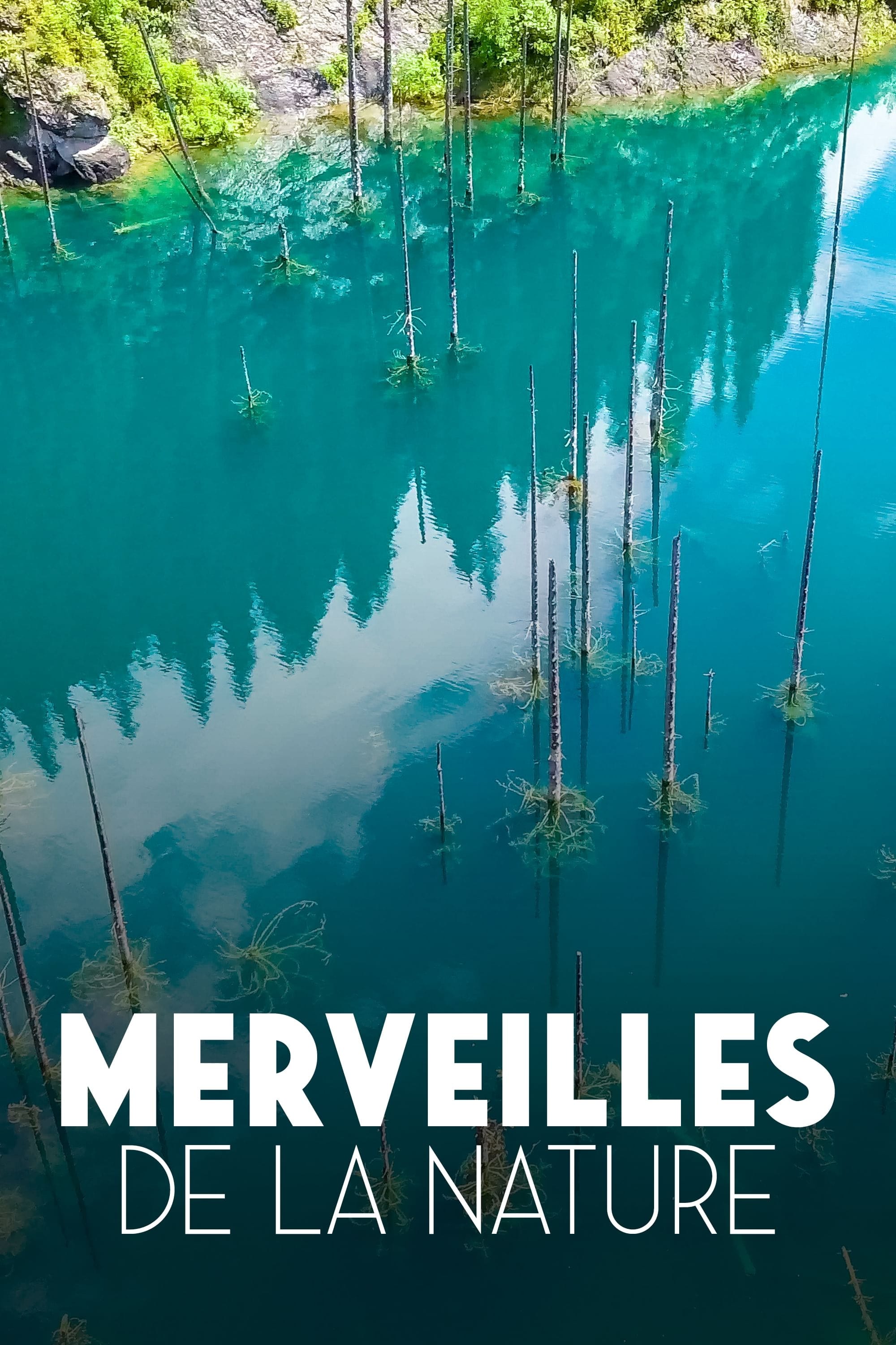 Merveilles de la nature | Merveilles de la nature