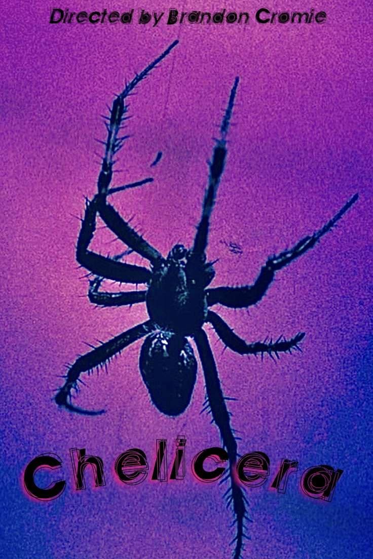 Chelicera | Chelicera