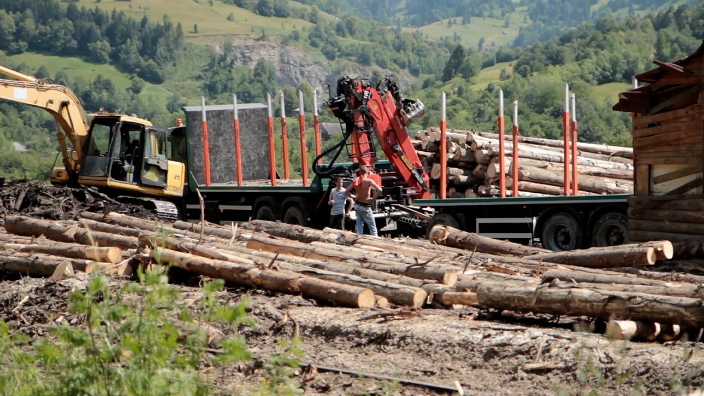 Wood - Der geraubte Wald|Wood - Der geraubte Wald