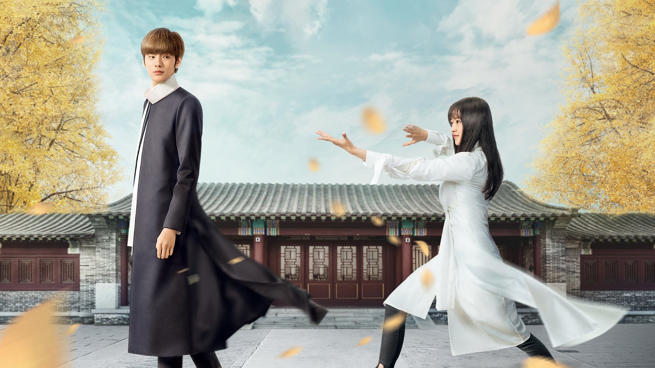 淑女飘飘拳|淑女飘飘拳