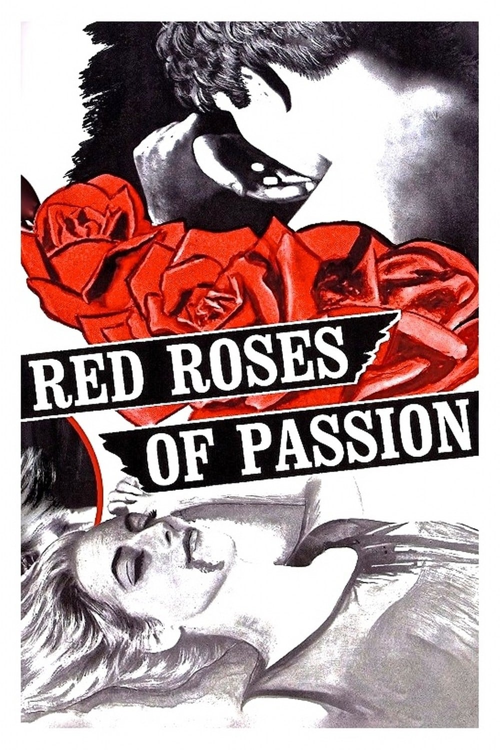 Red Roses of Passion | Red Roses of Passion