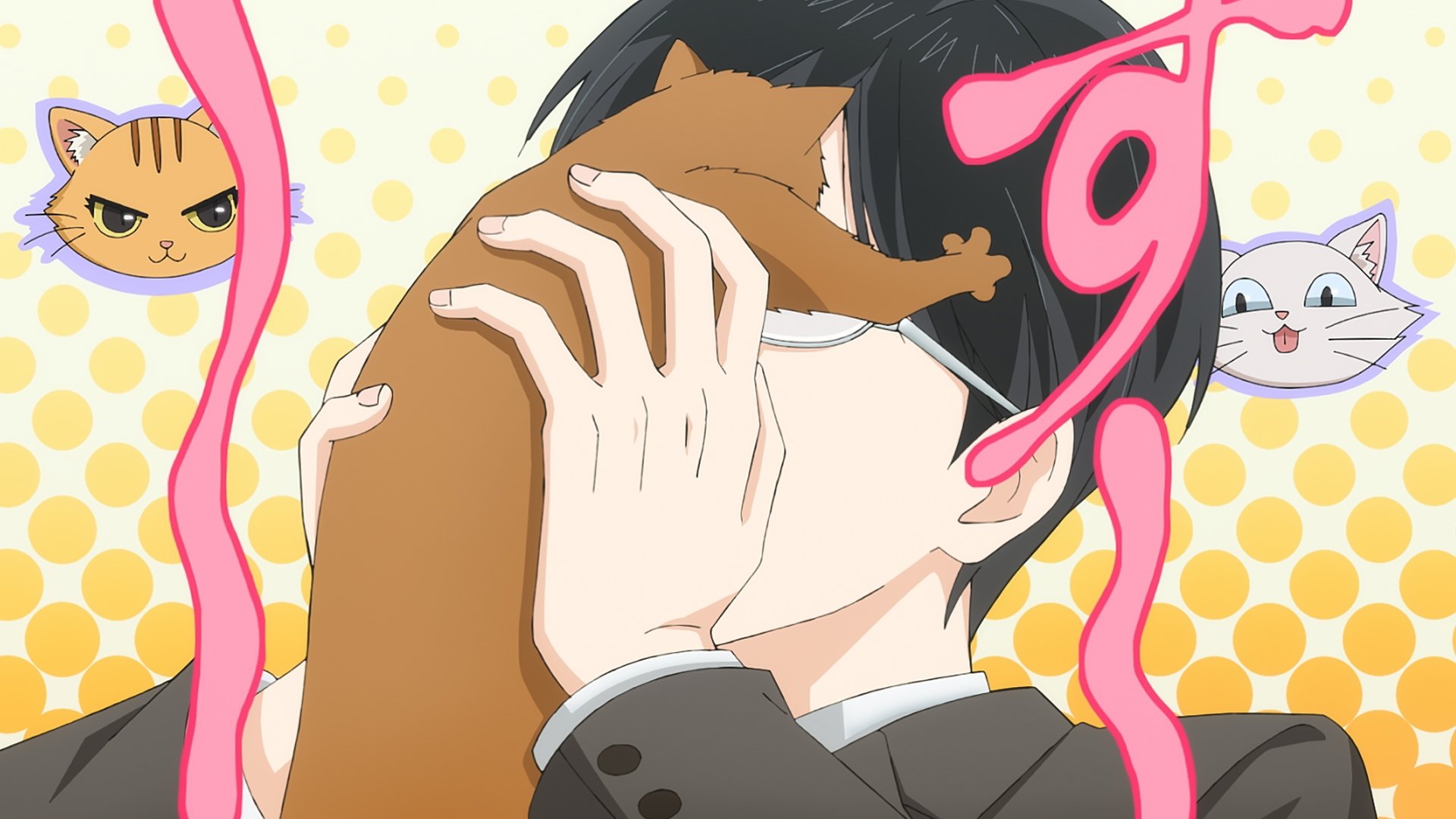 猫になりたい田万川くん|猫になりたい田万川くん