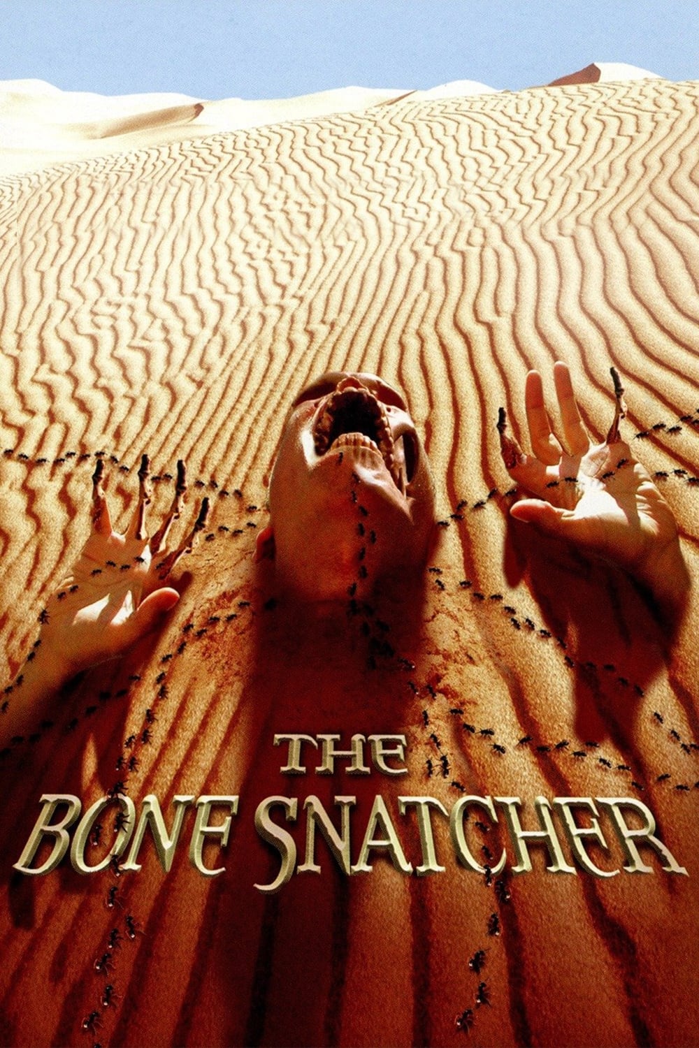 The Bone Snatcher | The Bone Snatcher