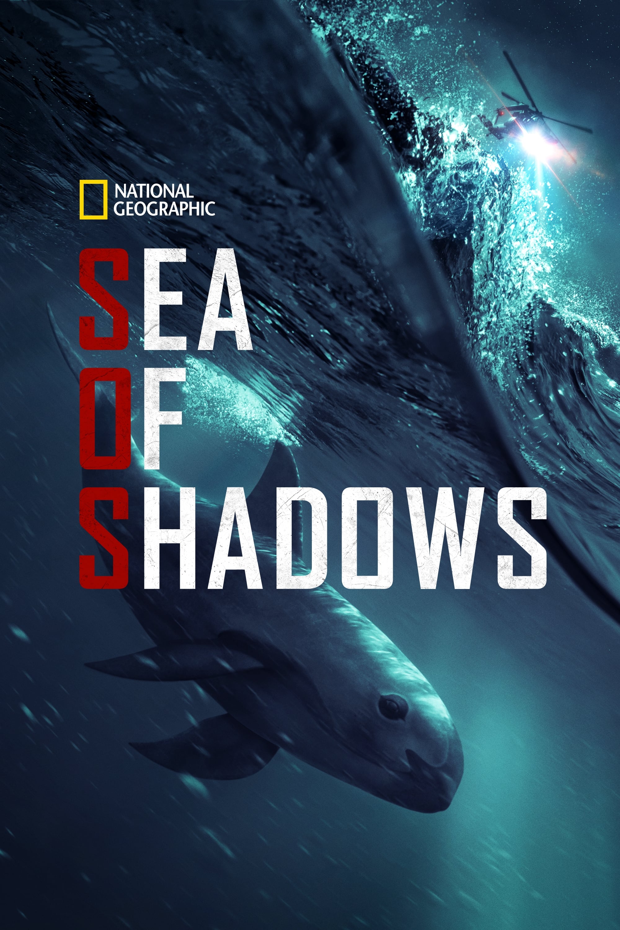 Sea of Shadows | Sea of Shadows