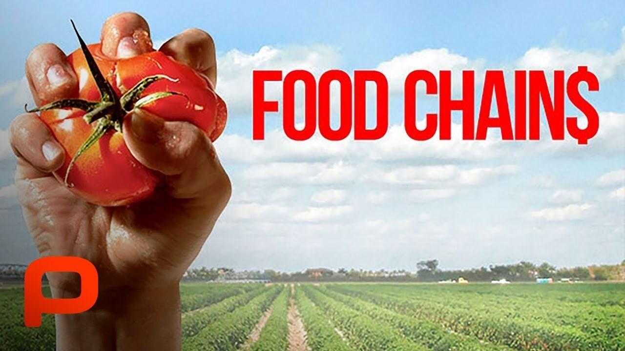 Food Chains|Food Chains
