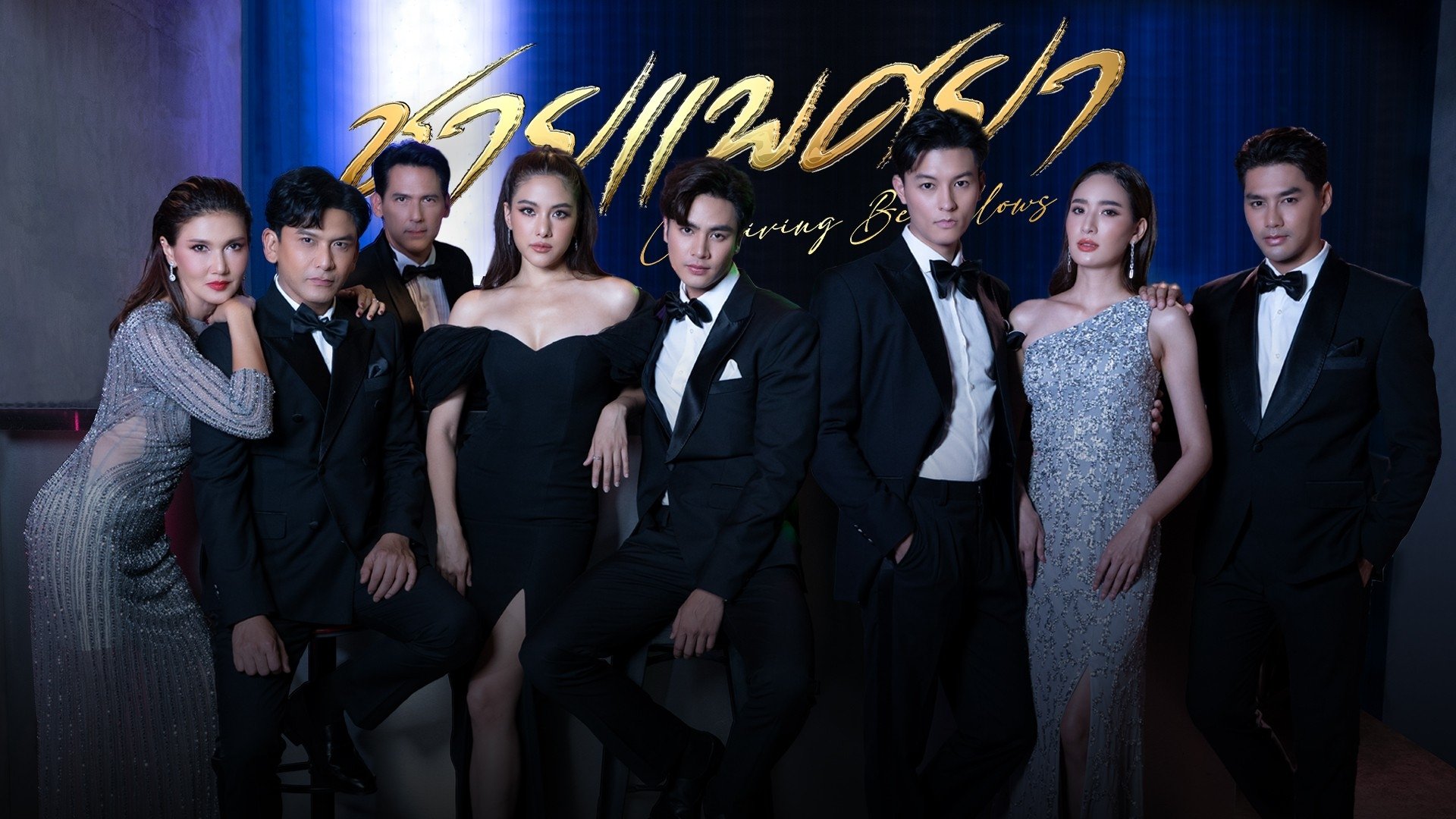 ชายแพศยา|ชายแพศยา