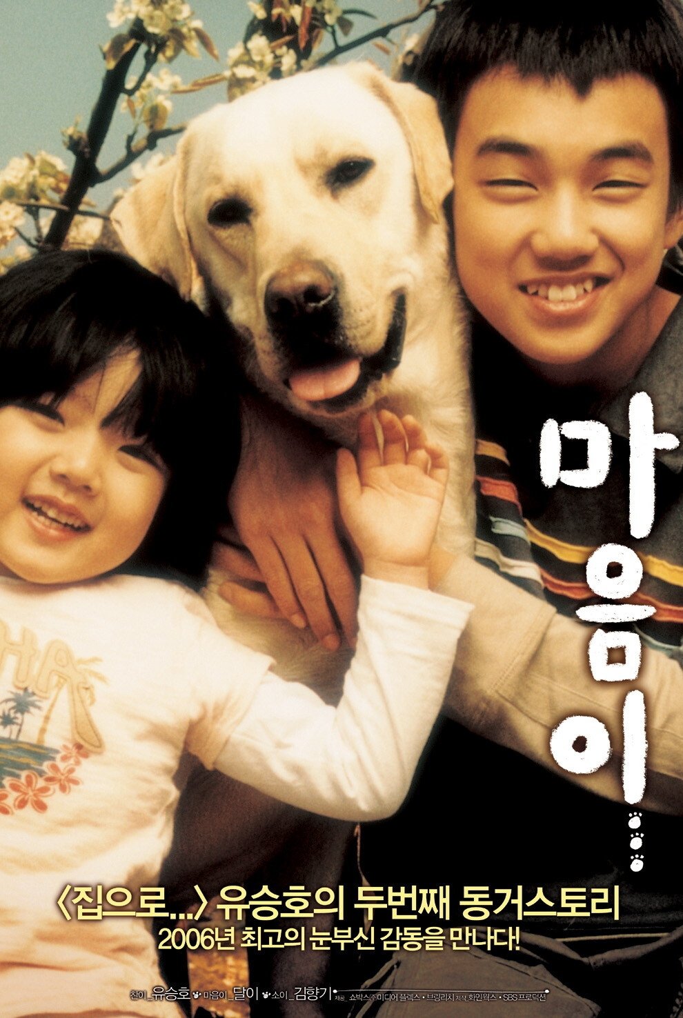 마음이... | 마음이...