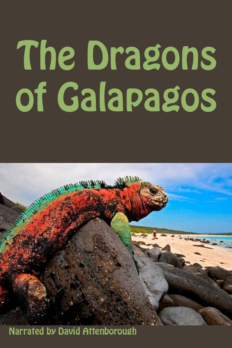 The Dragons of Galapagos | The Dragons of Galapagos