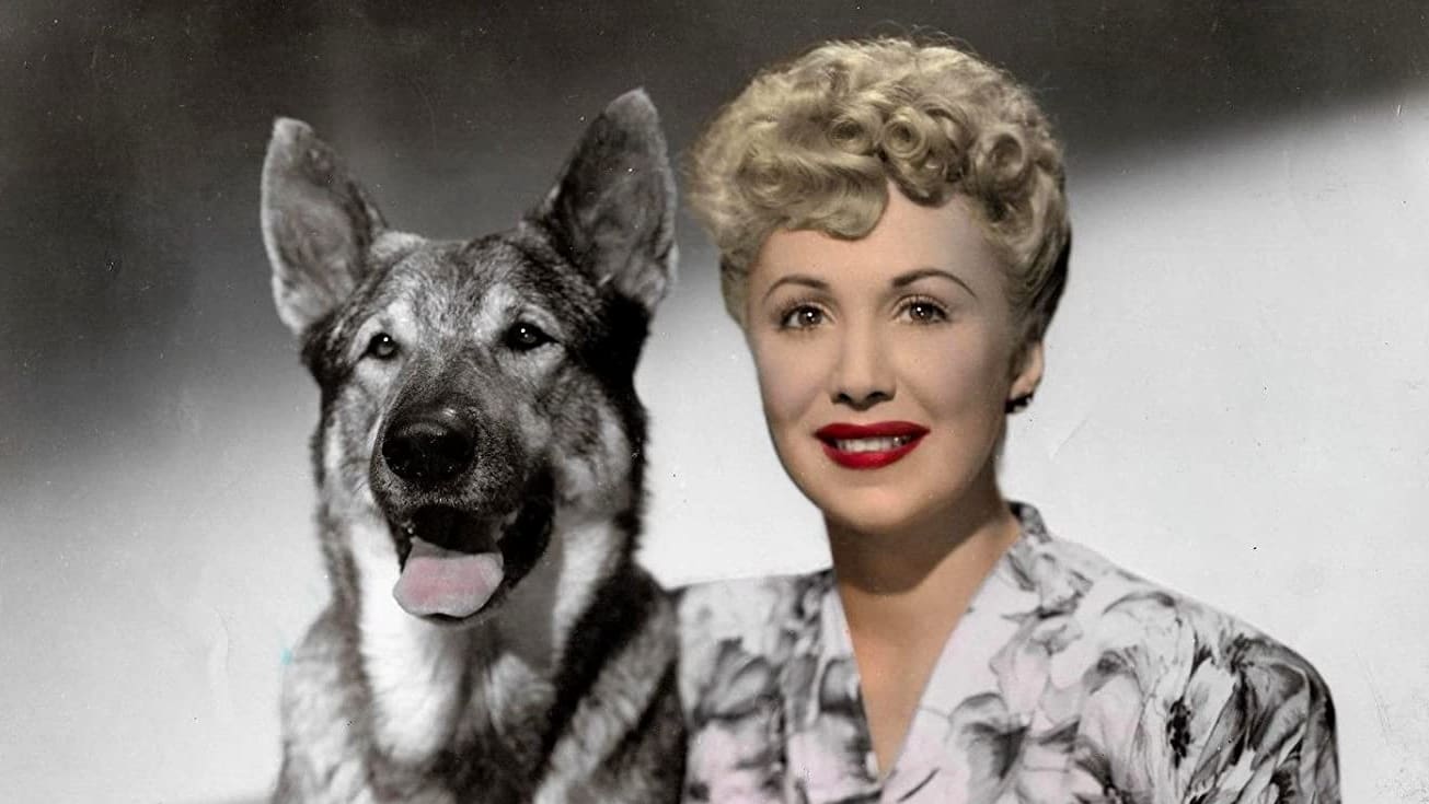 The Return of Rin Tin Tin|The Return of Rin Tin Tin