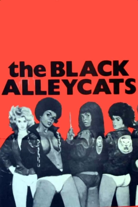 The Black Alley Cats | The Black Alley Cats