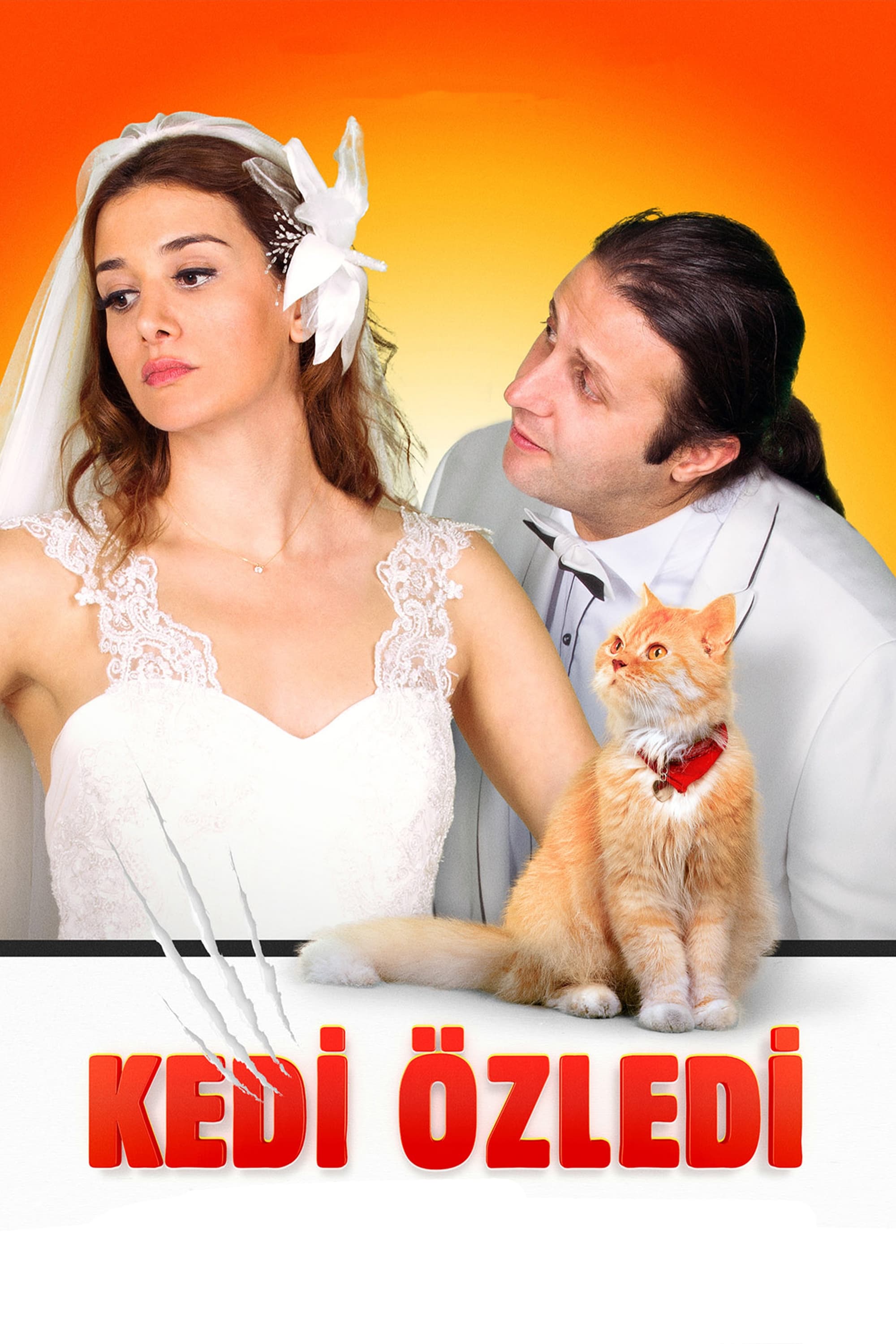 Kedi Özledi | Kedi Özledi