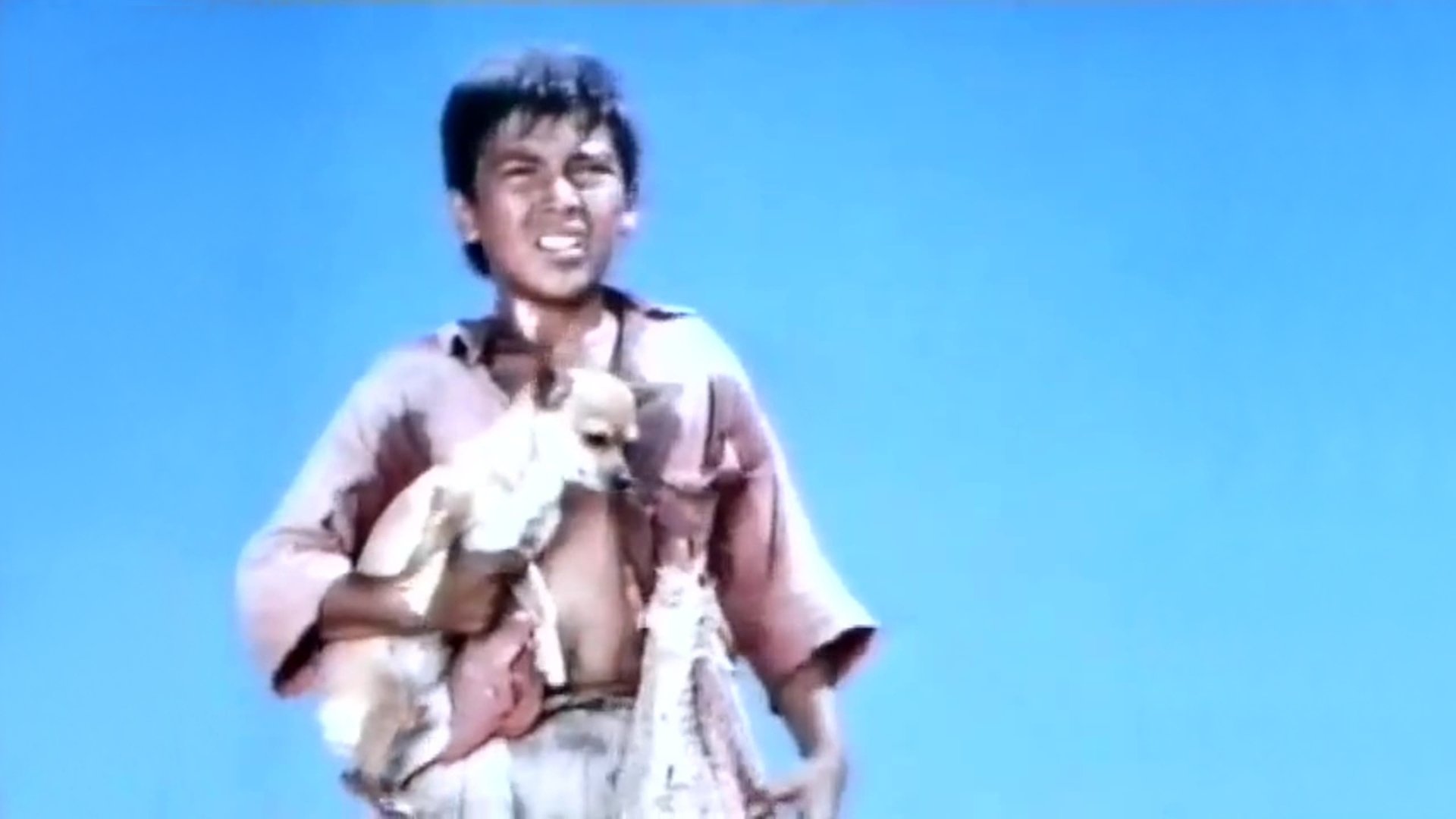 Pablo and the Dancing Chihuahua|Pablo and the Dancing Chihuahua