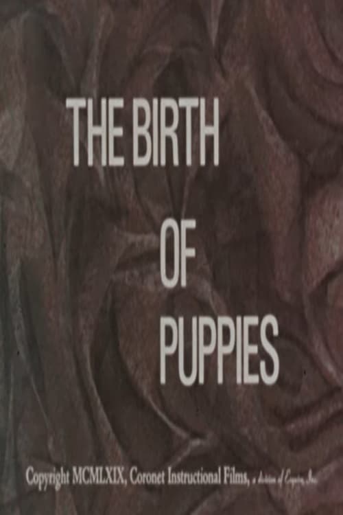 The Birth of Puppies | The Birth of Puppies